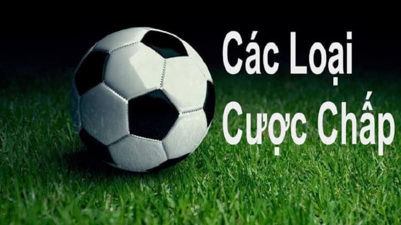 cược chấp bóng đá