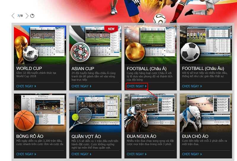 cá độ bóng rổ