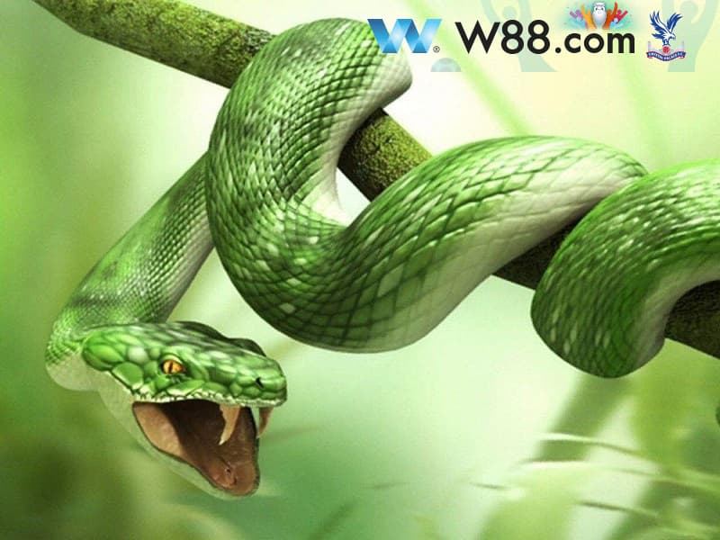 Giải mã giấc mơ bị rắn cắn vào chân